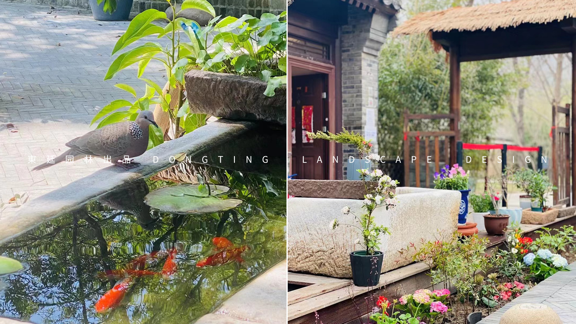 芹溪茶舍-4.jpg