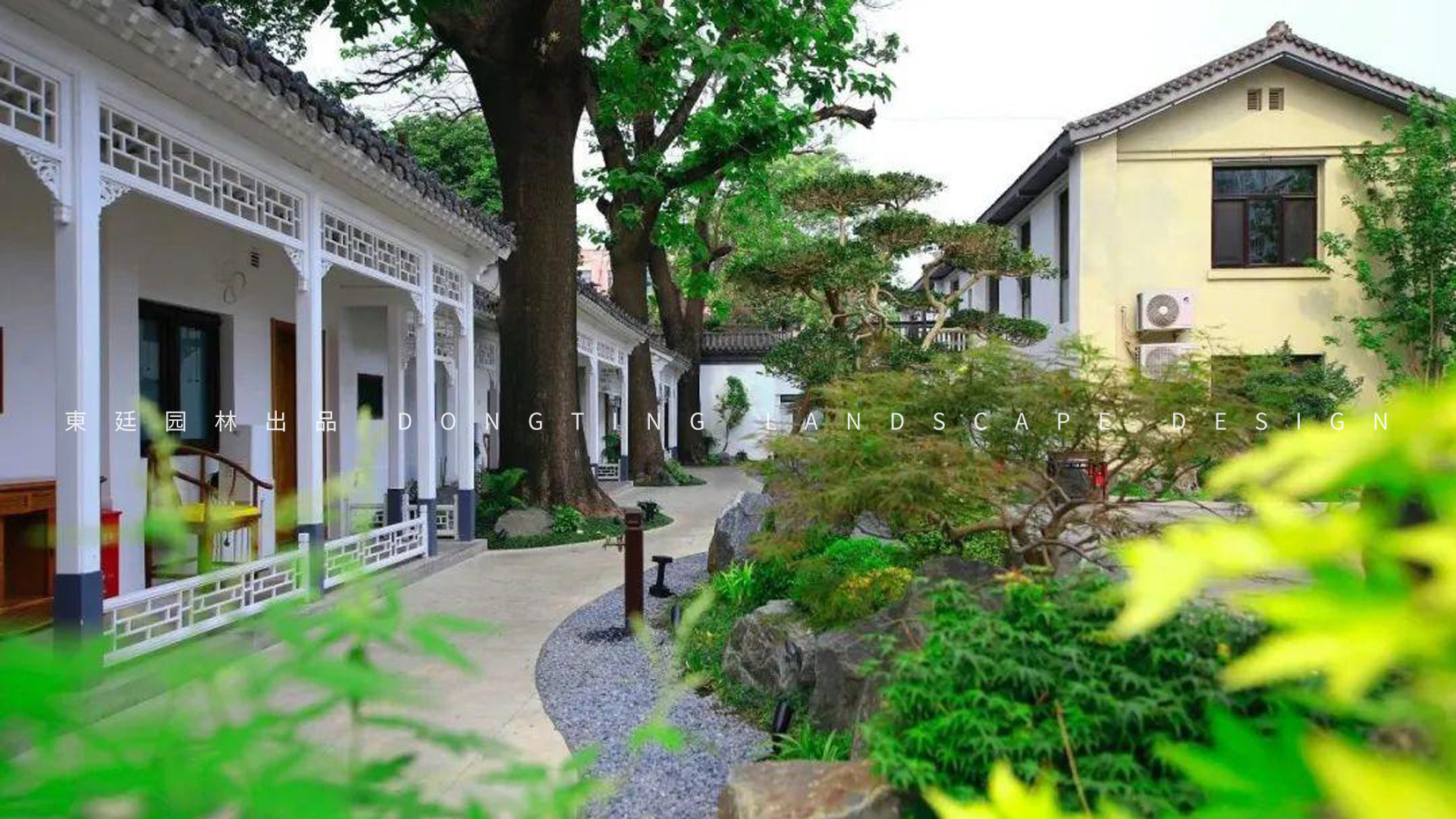 梧桐小院-2.jpg